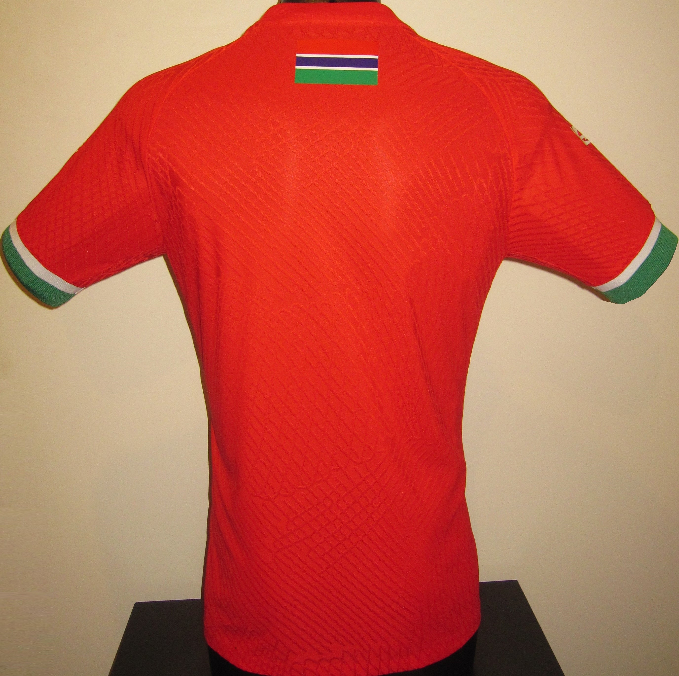 Gambia 2024-25 Home Jersey/Shirt
