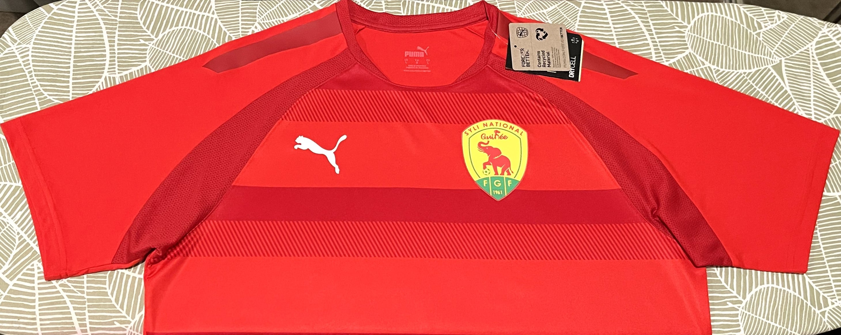 Guinea 2025 Home Jersey/Shirt