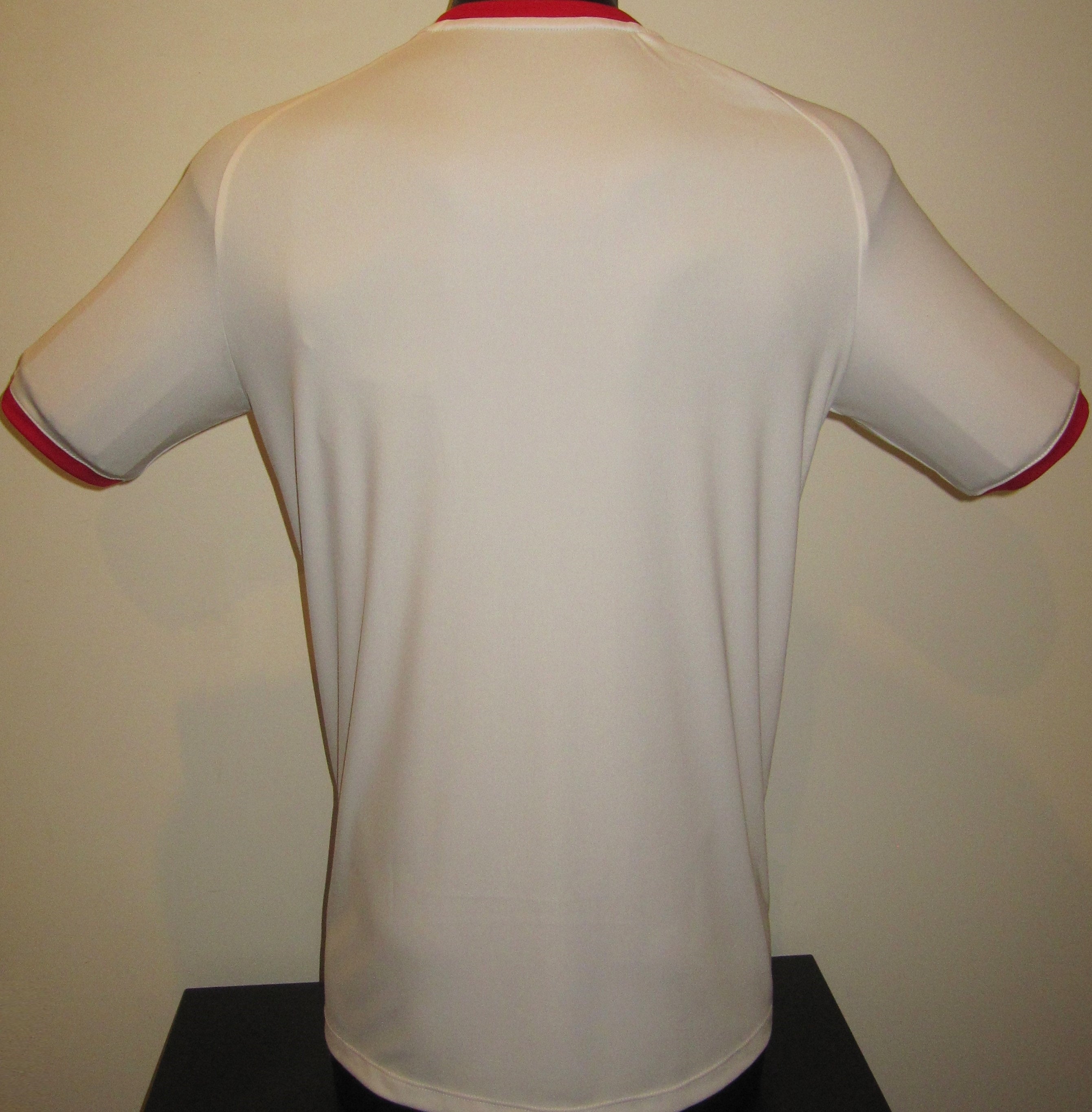 Jordan 2023-24 Home Jersey/Shirt