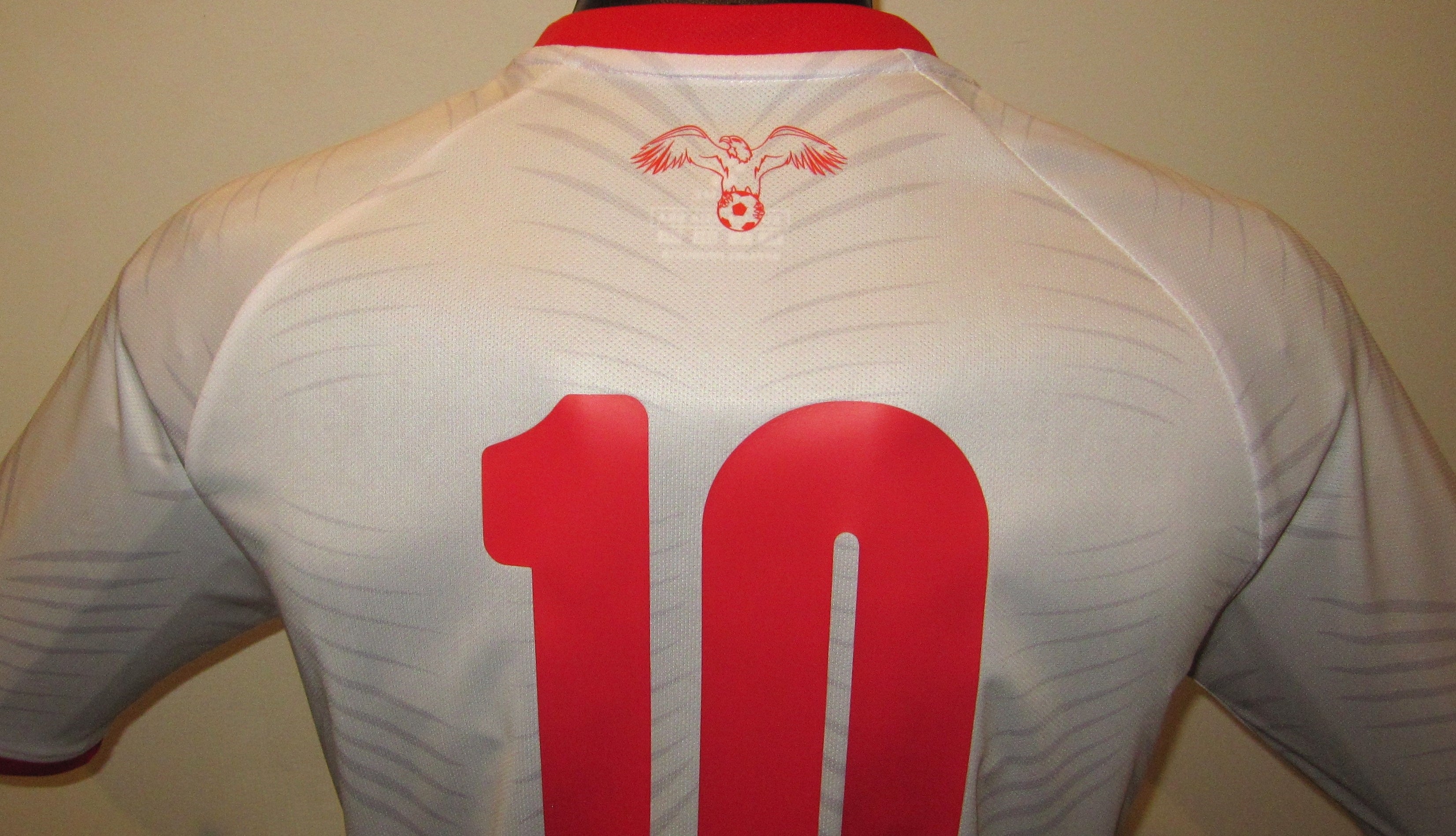 Jordan 2024-25 Home (#10- ALTAMARI) Jersey/Shirt
