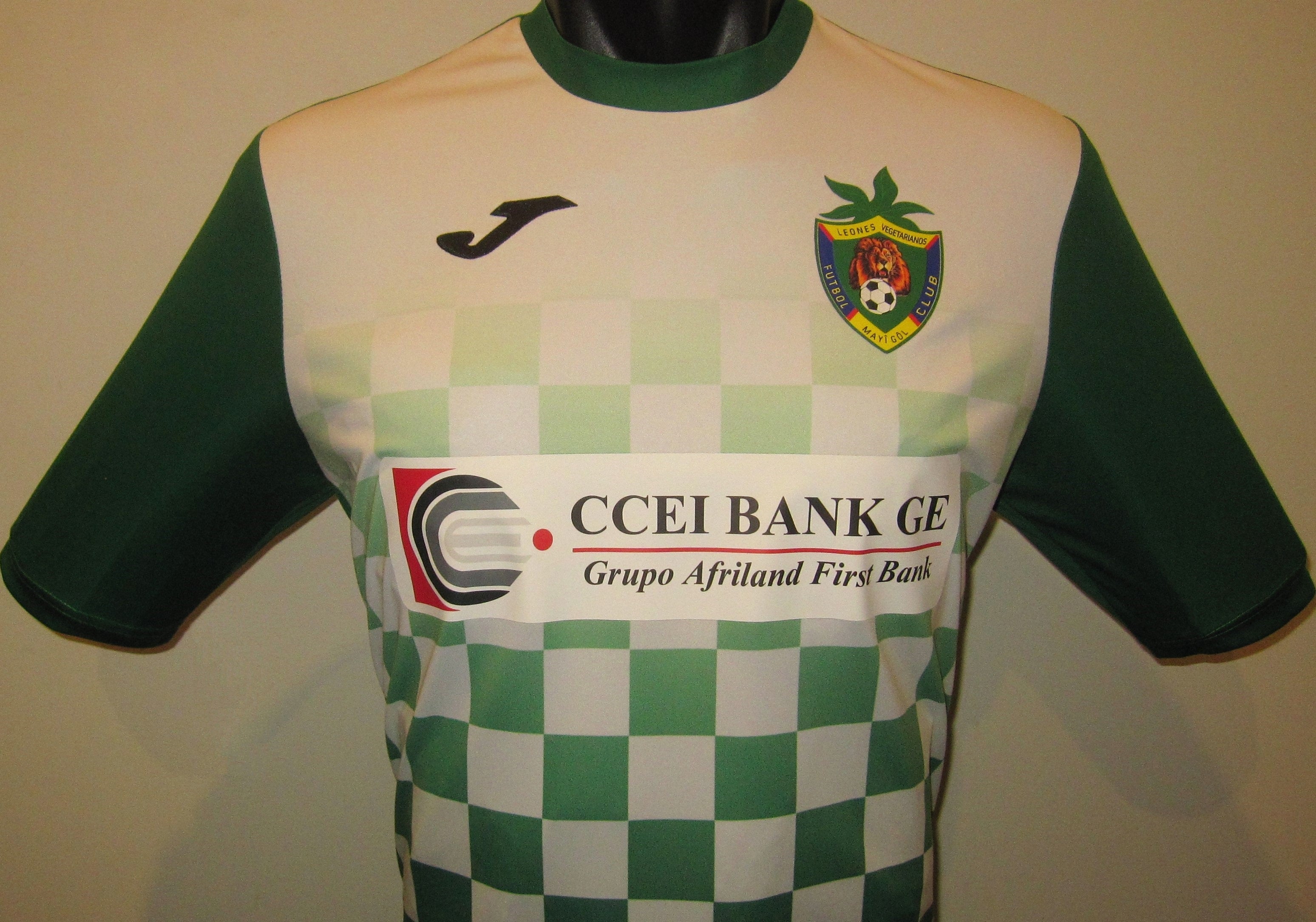 Leones Vegetarianos 2019 Home Jersey/Shirt
