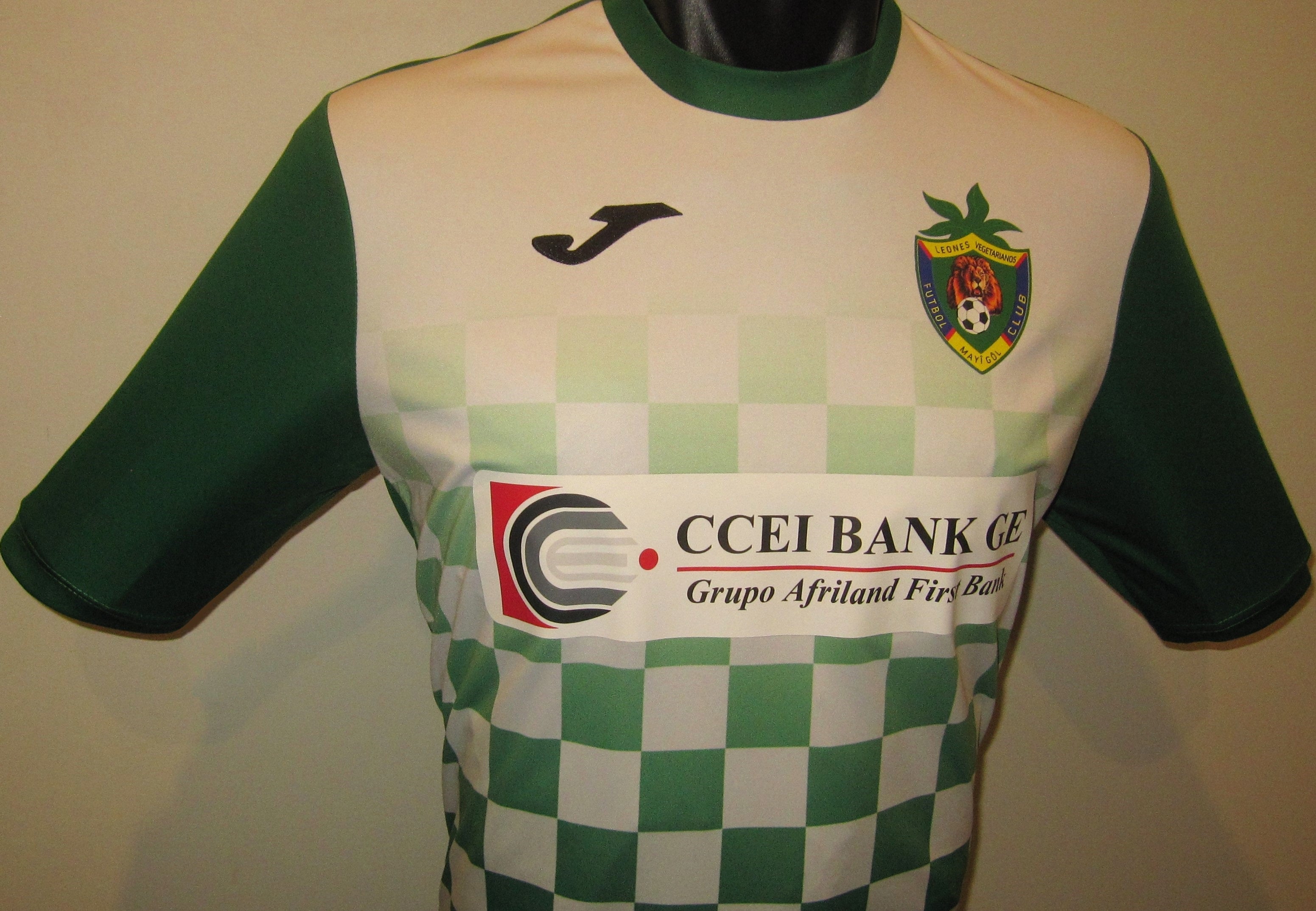 Leones Vegetarianos 2019 Home Jersey/Shirt