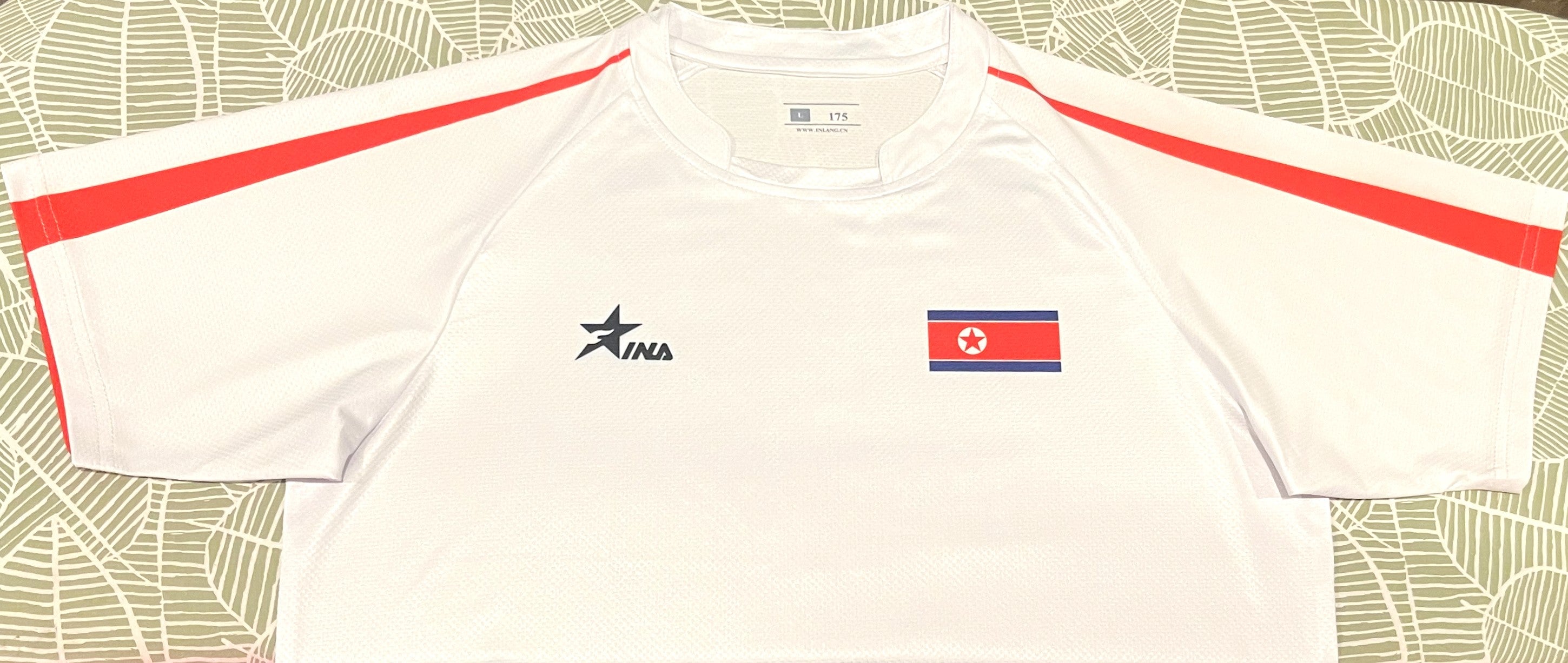 North Korea 2025 Away Jersey/Shirt