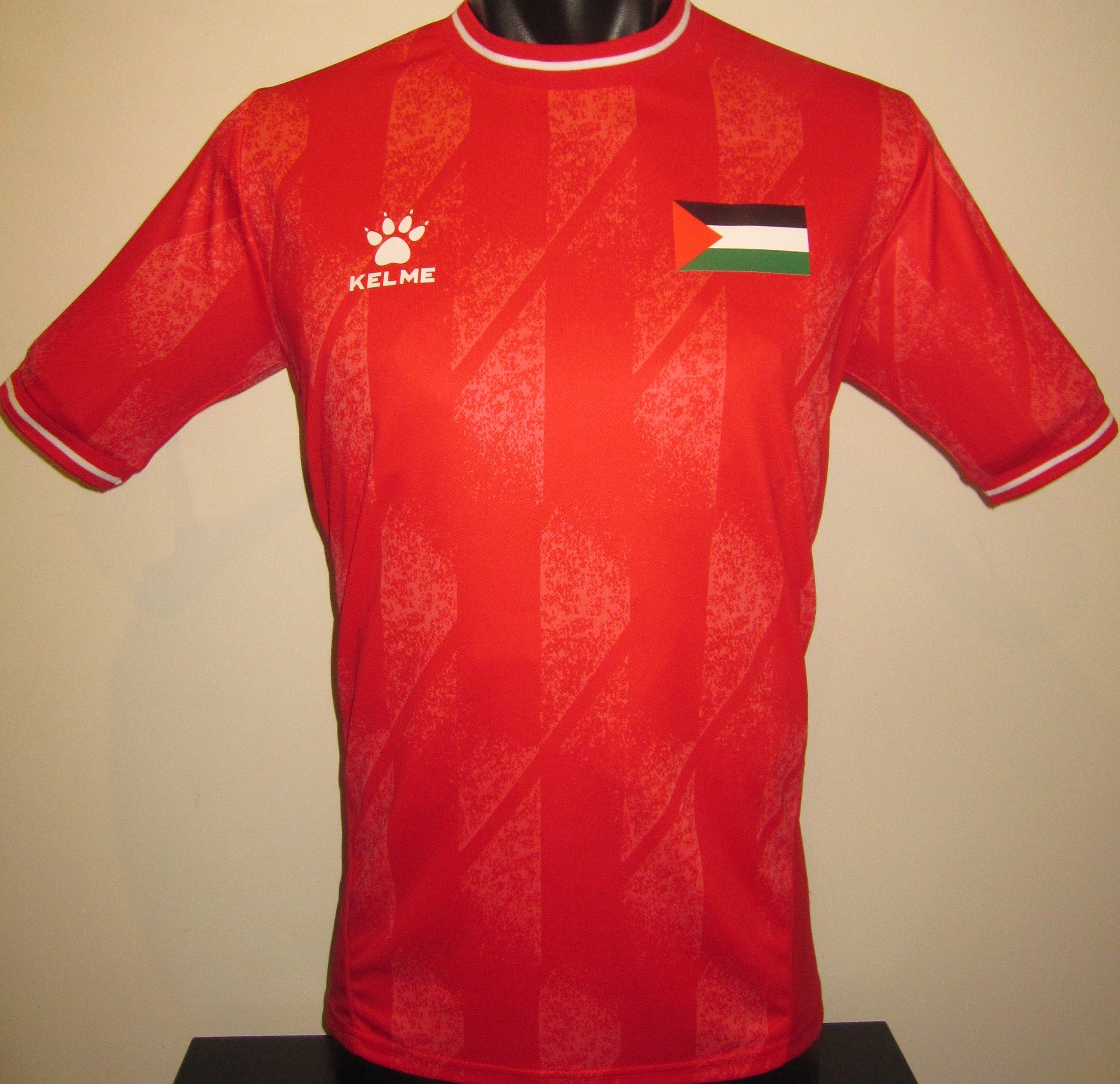 Palestine 2023-24 Home Jersey/Shirt