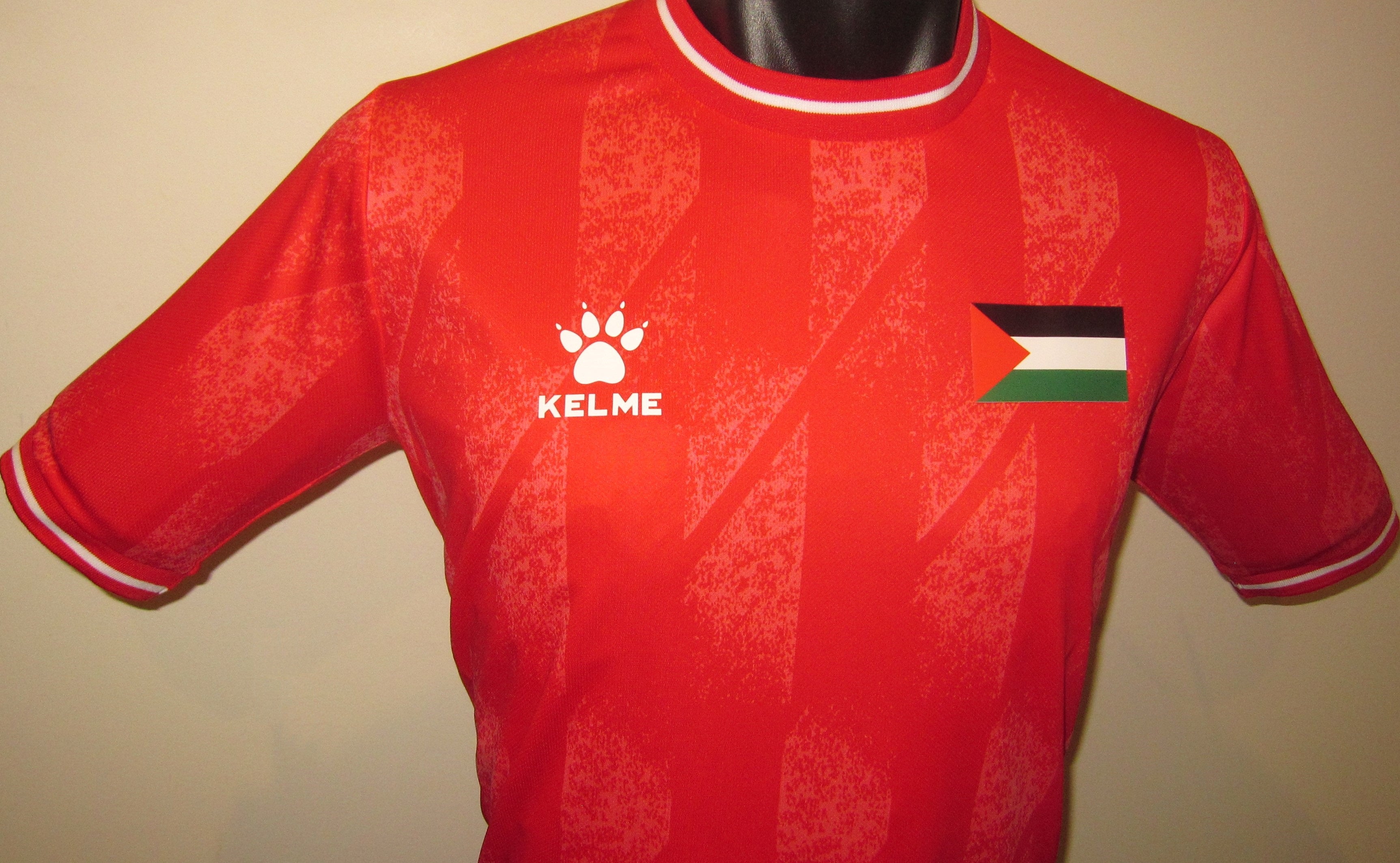 Palestine 2023-24 Home Jersey/Shirt