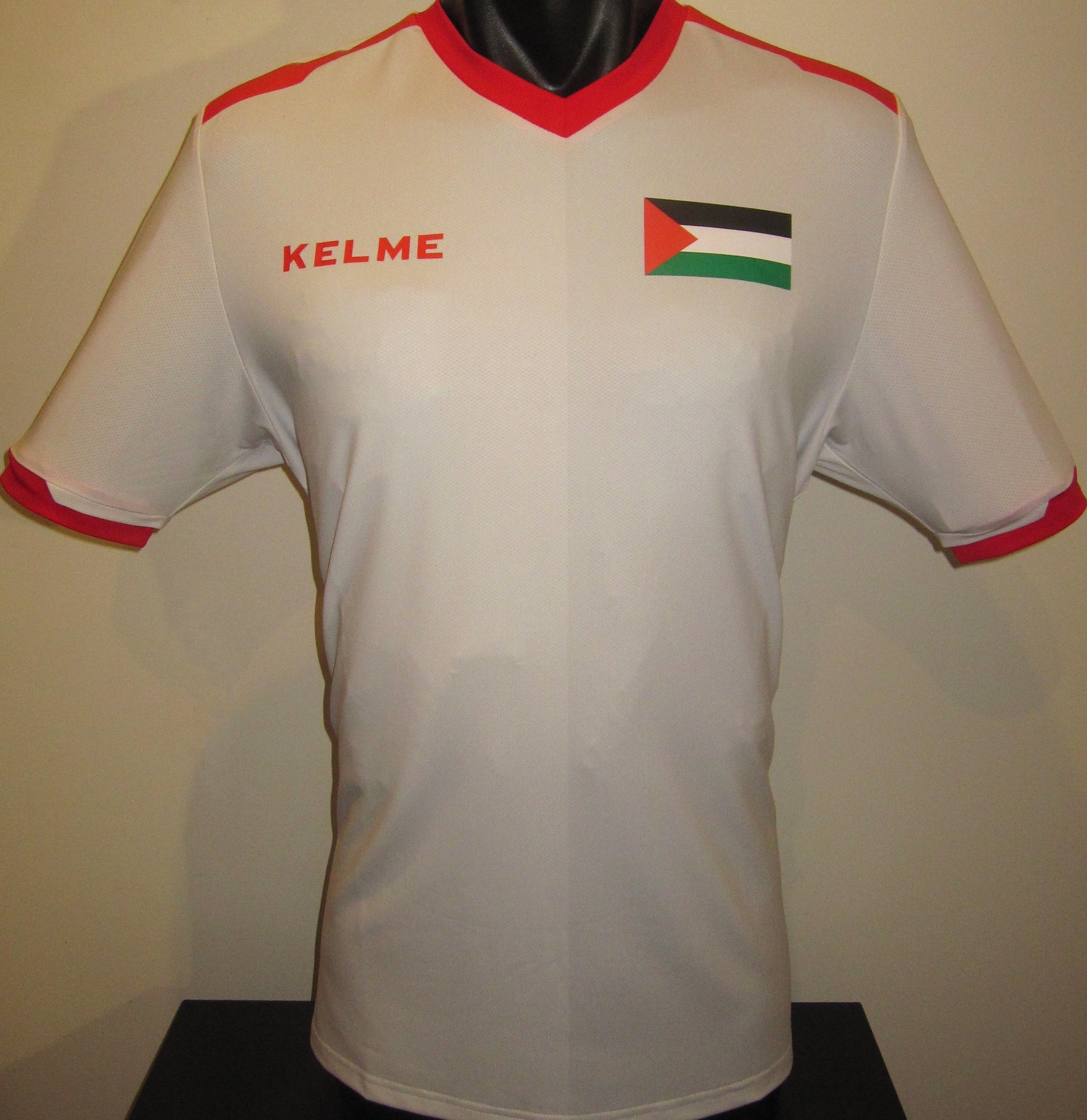 Palestine 2023-24 Away Jersey/Shirt