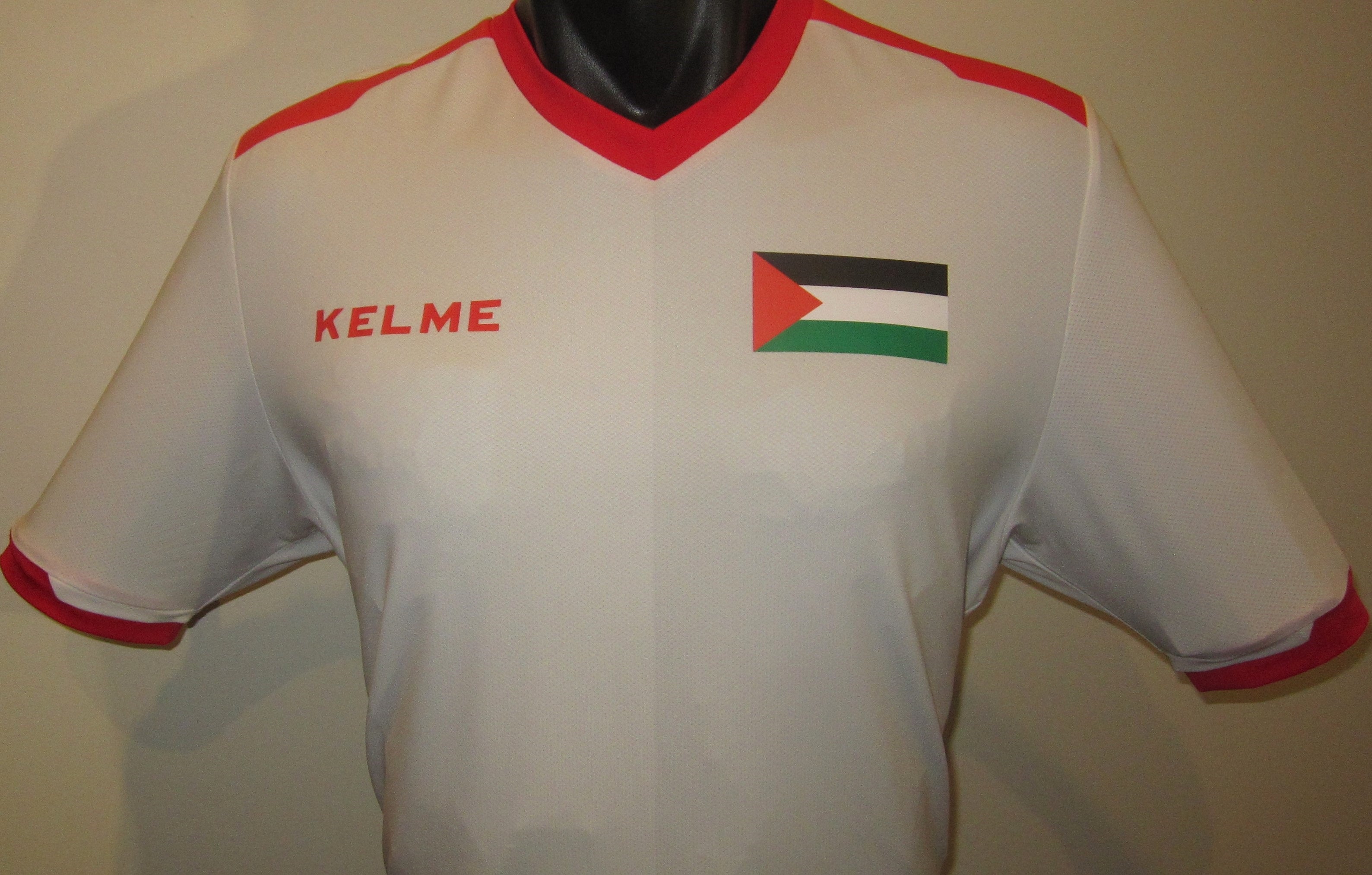 Palestine 2023-24 Away Jersey/Shirt