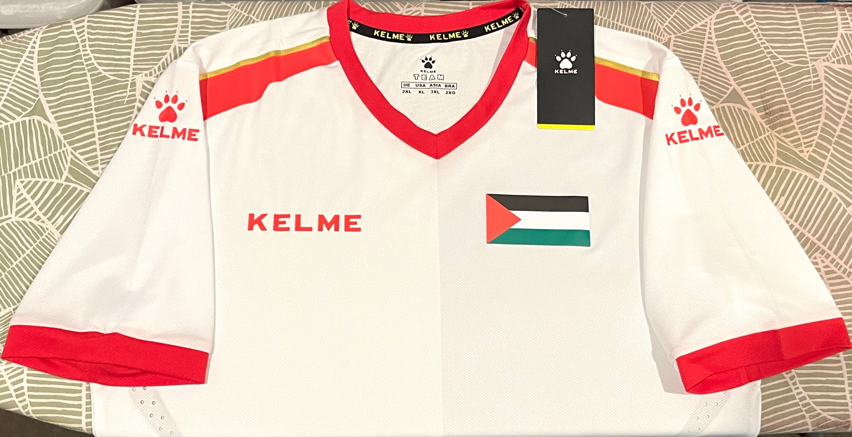 Palestine 2023-24 Away Jersey/Shirt