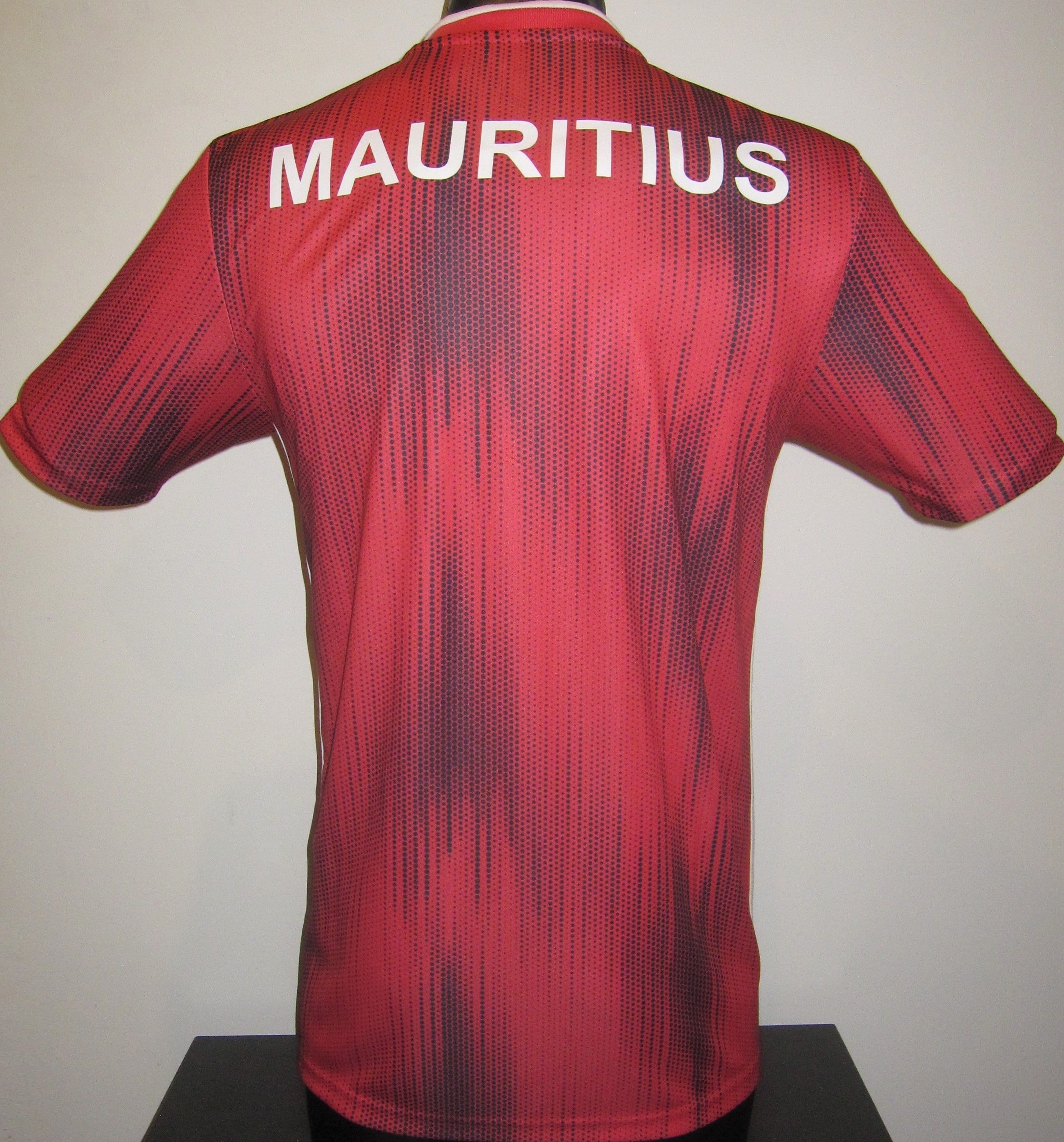 Mauritius 2021 Home Jersey/Shirt