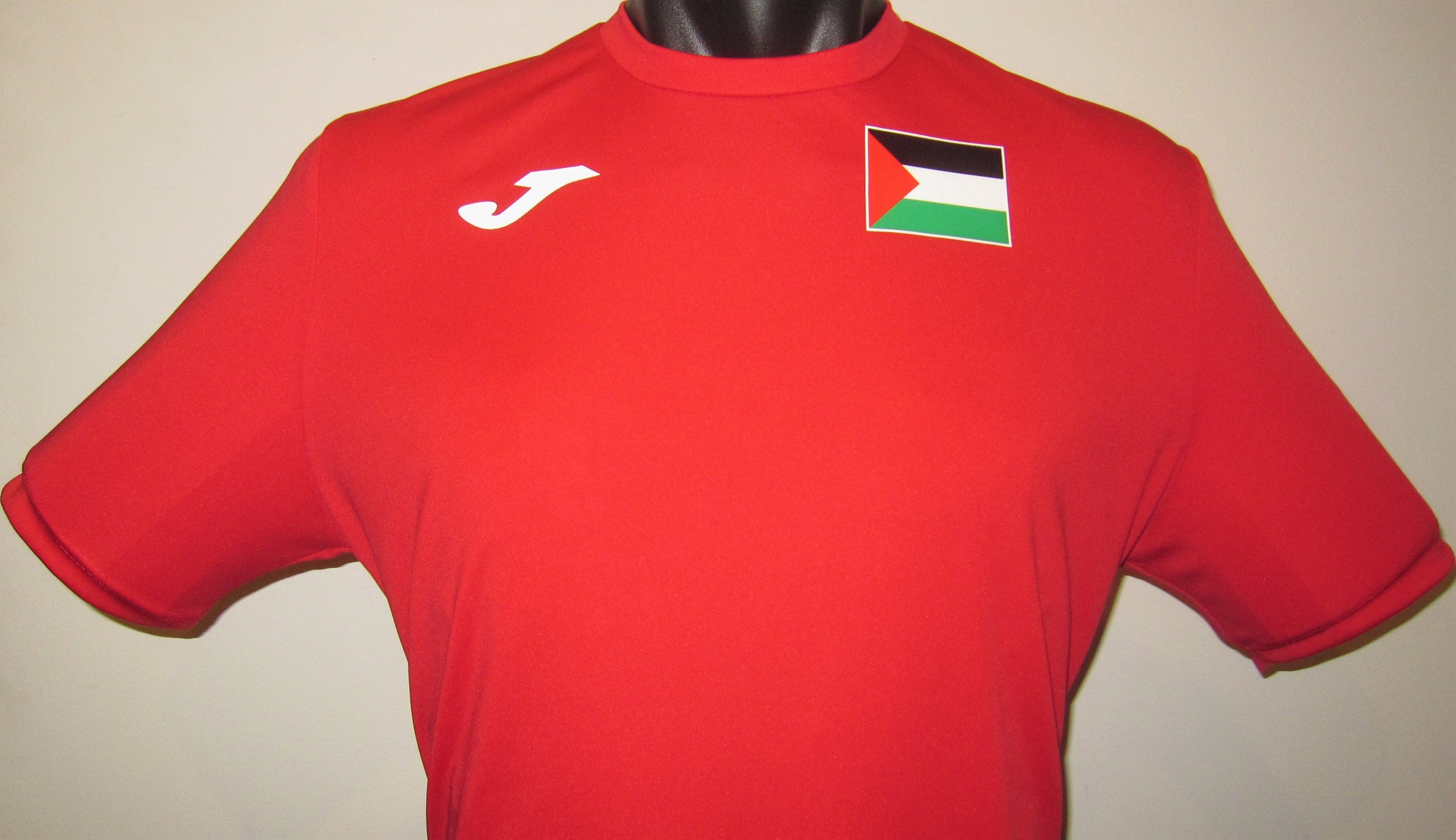 Palestine 2020-21 Home Jersey/Shirt