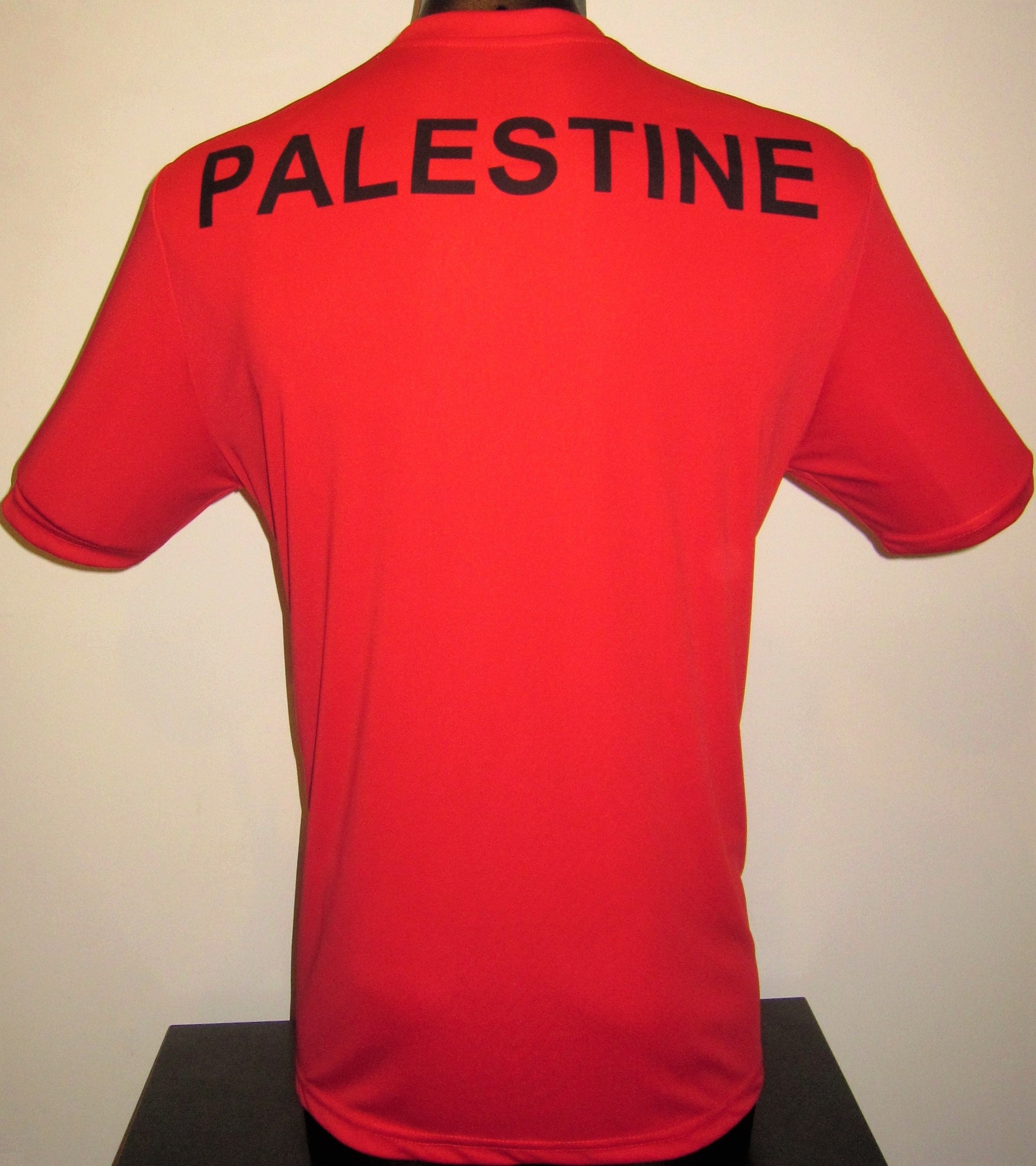 Palestine 2020-21 Home Jersey/Shirt