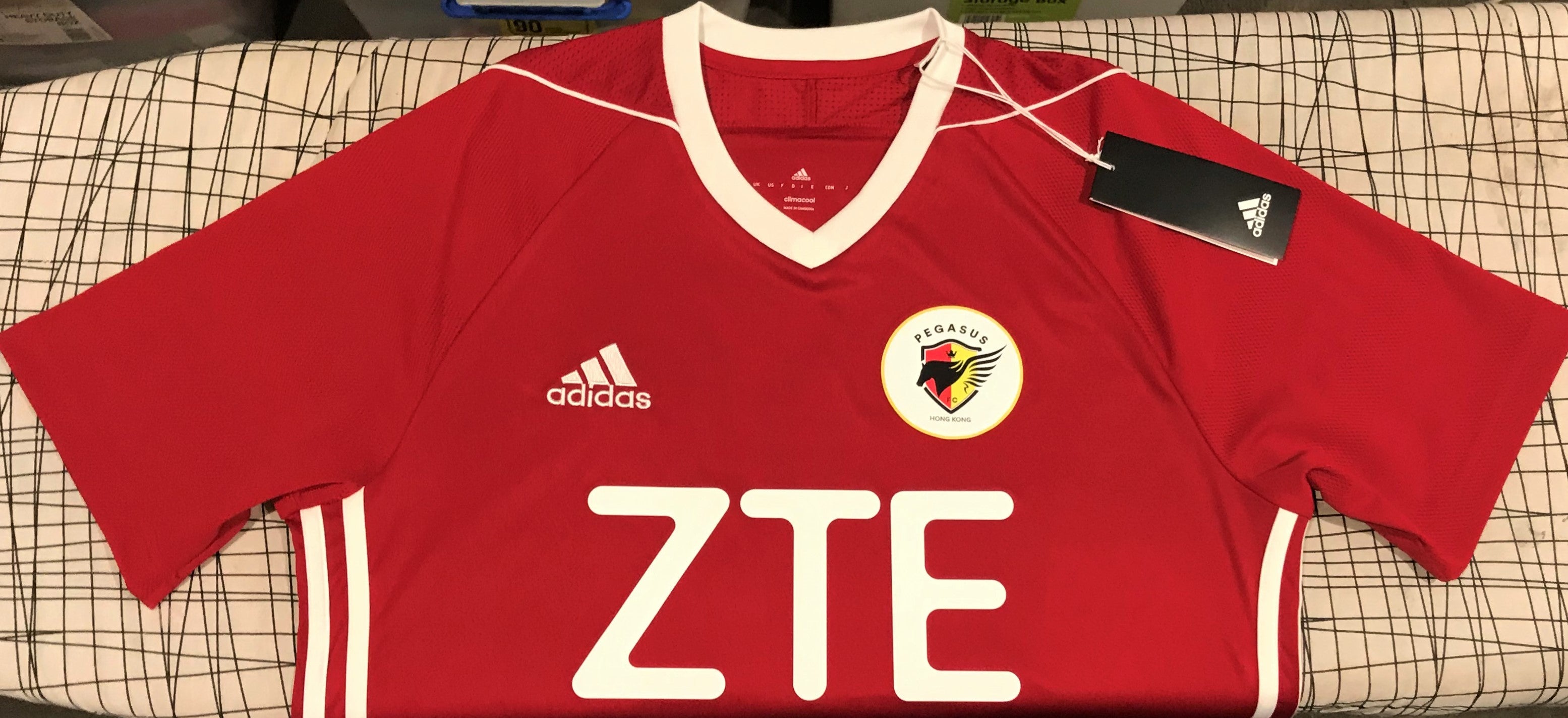 TSW Pegasus FC 2016-17 Home (K H LEONG #9) Jersey/Shirt