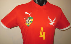 Togo 2017 Home (ADEBAYOR #4) Jersey/Shirt