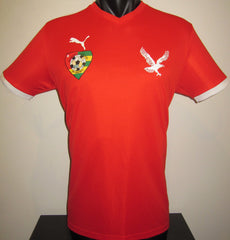 Togo 2017 Home Jersey/Shirt