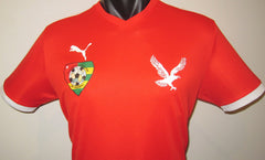 Togo 2017 Home Jersey/Shirt