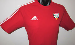 United Arab Emirates 2015 Away Jersey/Shirt