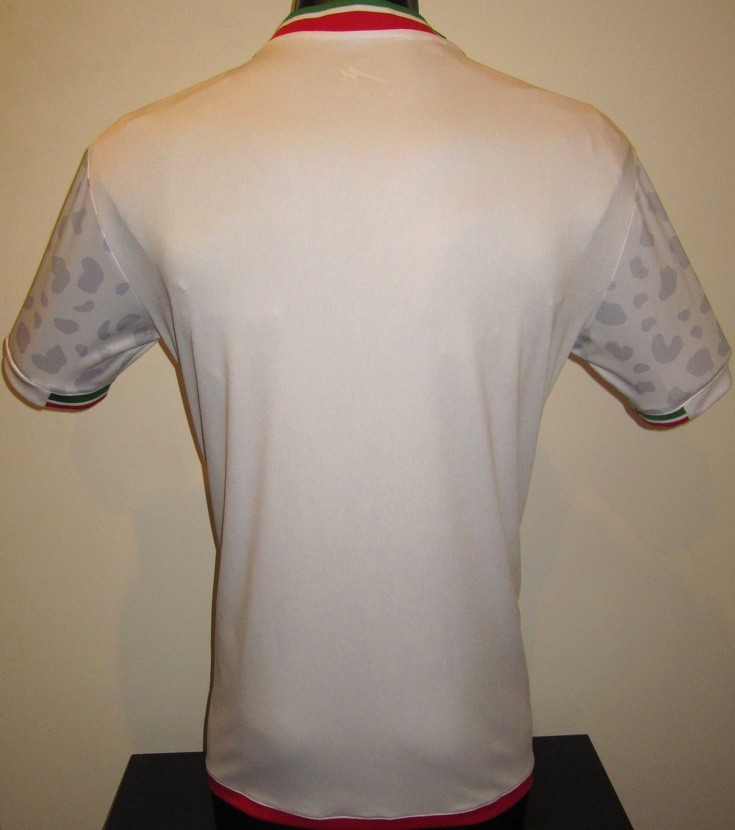 Iran 2026 Home Jersey/Shirt