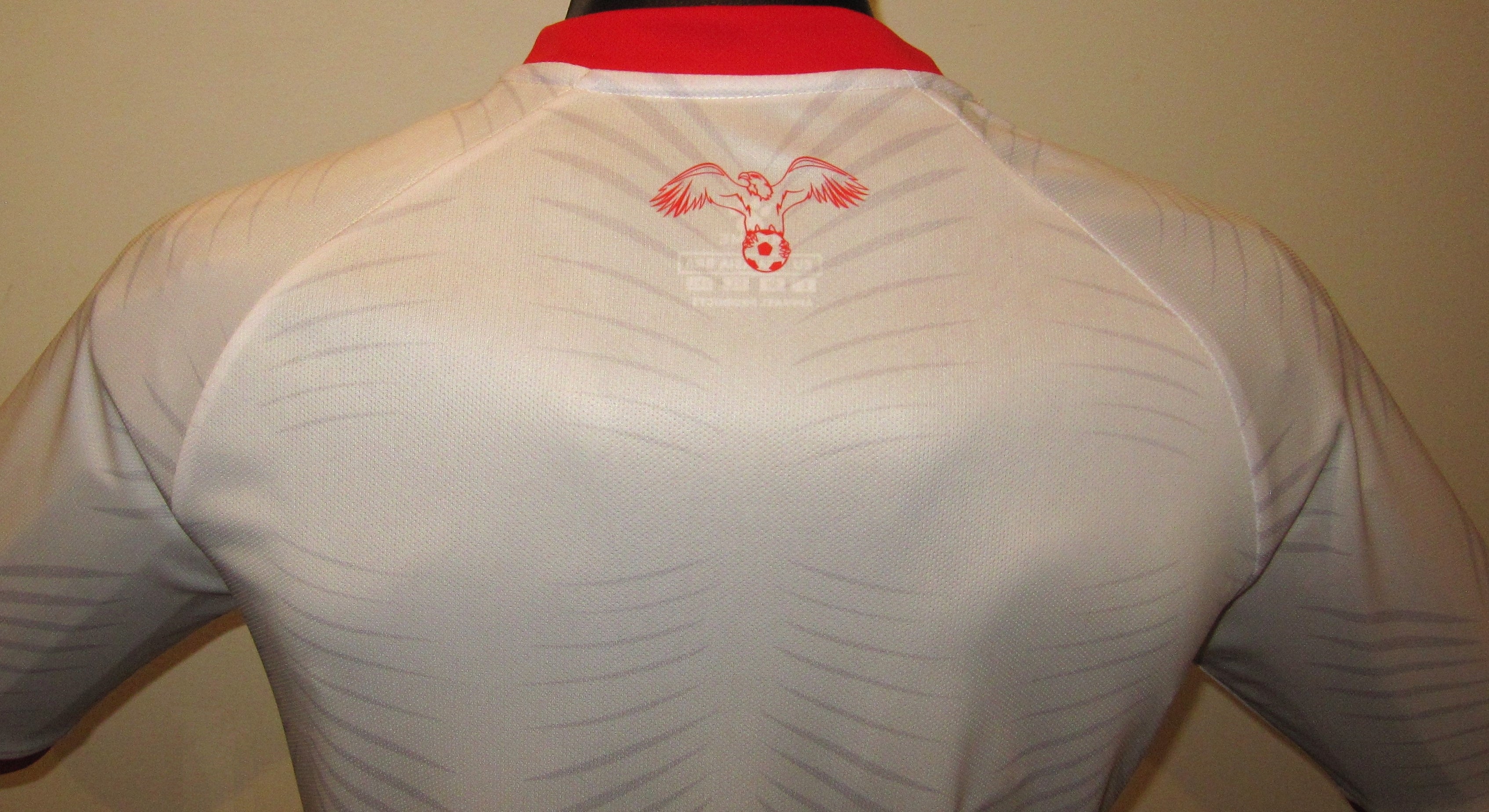 Jordan 2024-25 Home Jersey/Shirt