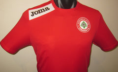 Lebanon 2013 Home Jersey/Shirt