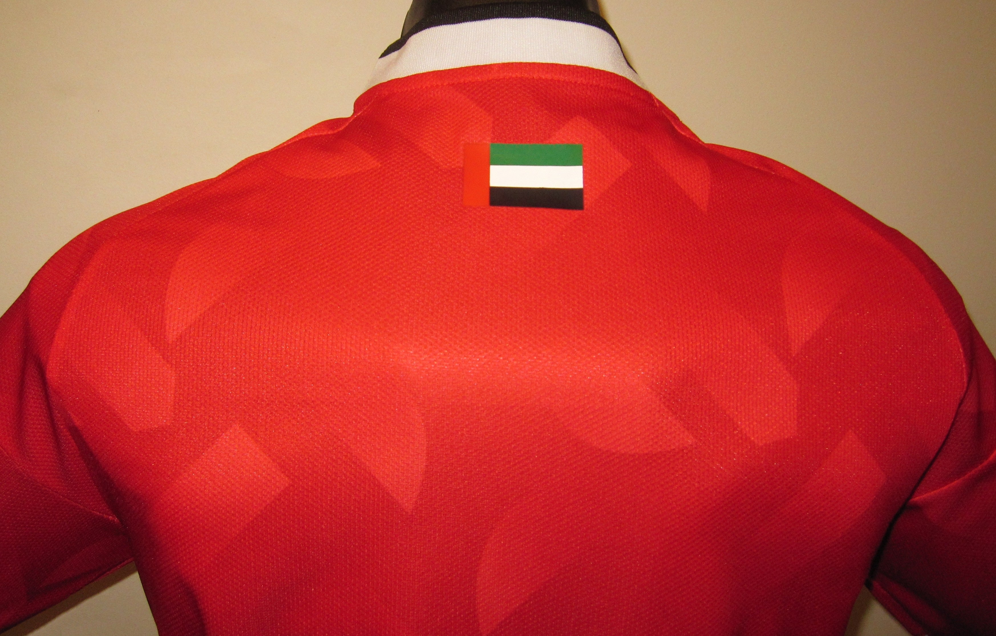 United Arab Emirates 2026 Away Jersey/Shirt