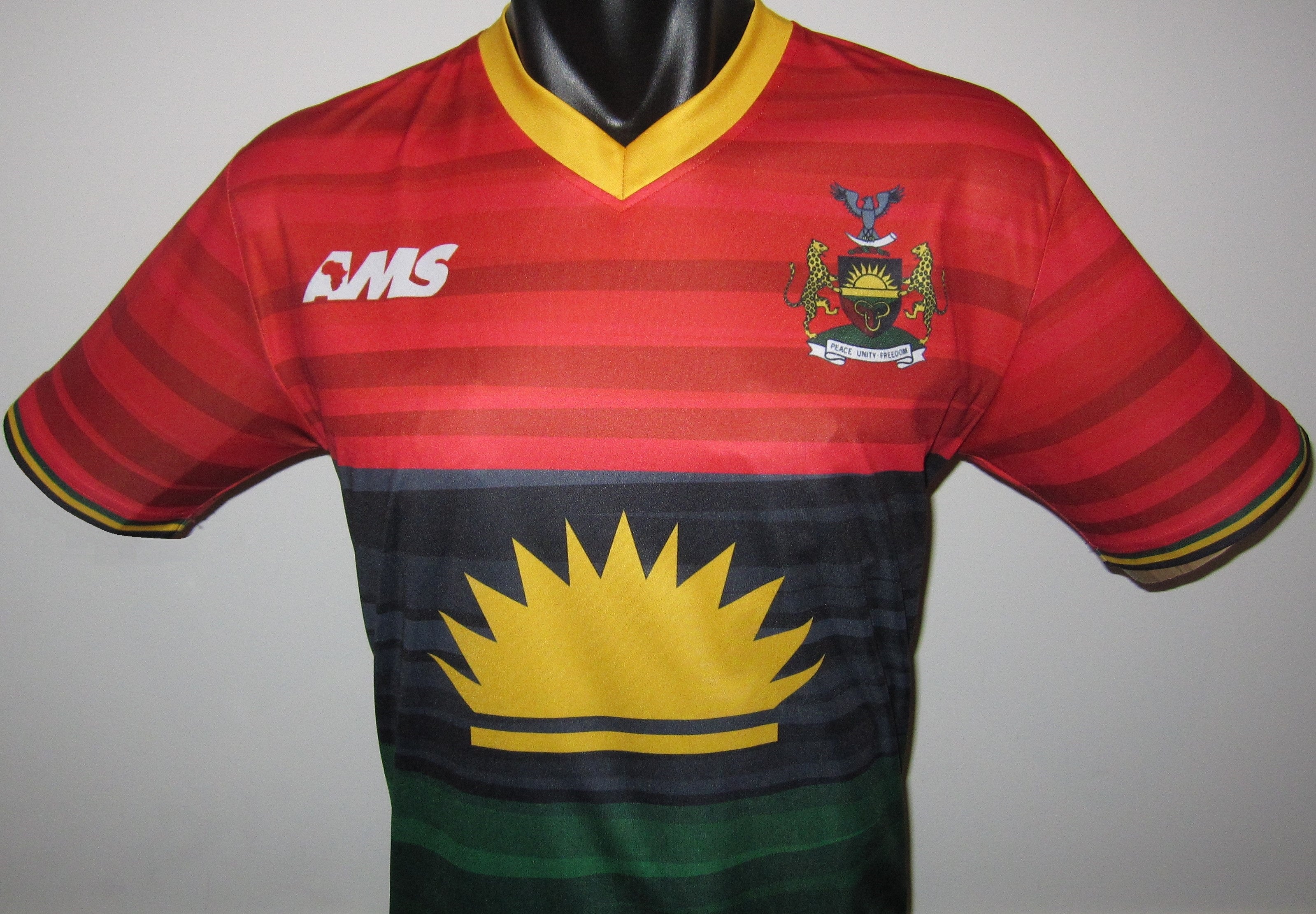 Biafra Prototype Jersey/Shirt