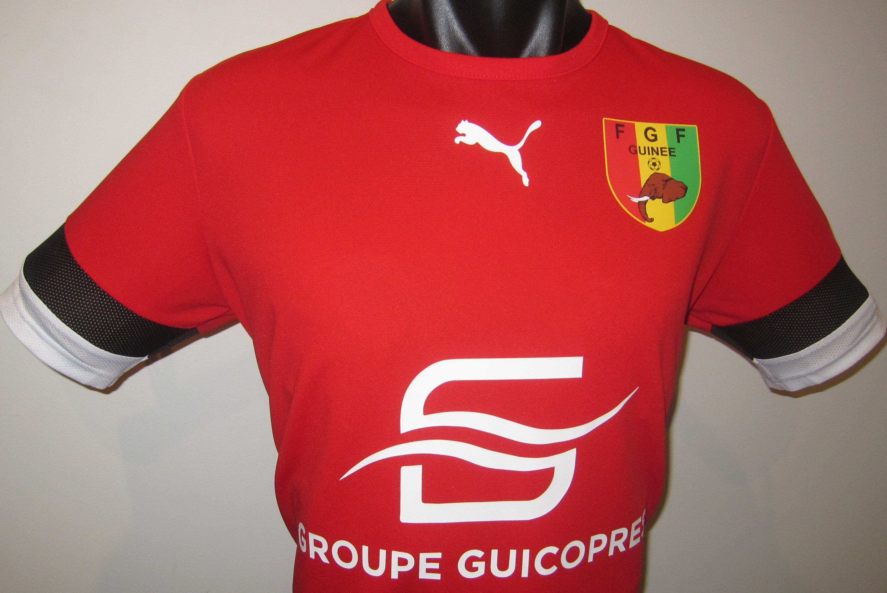 Suri Graag gedaan ramp Guinea 2022 Training Jersey/Shirt – Global Jerseys