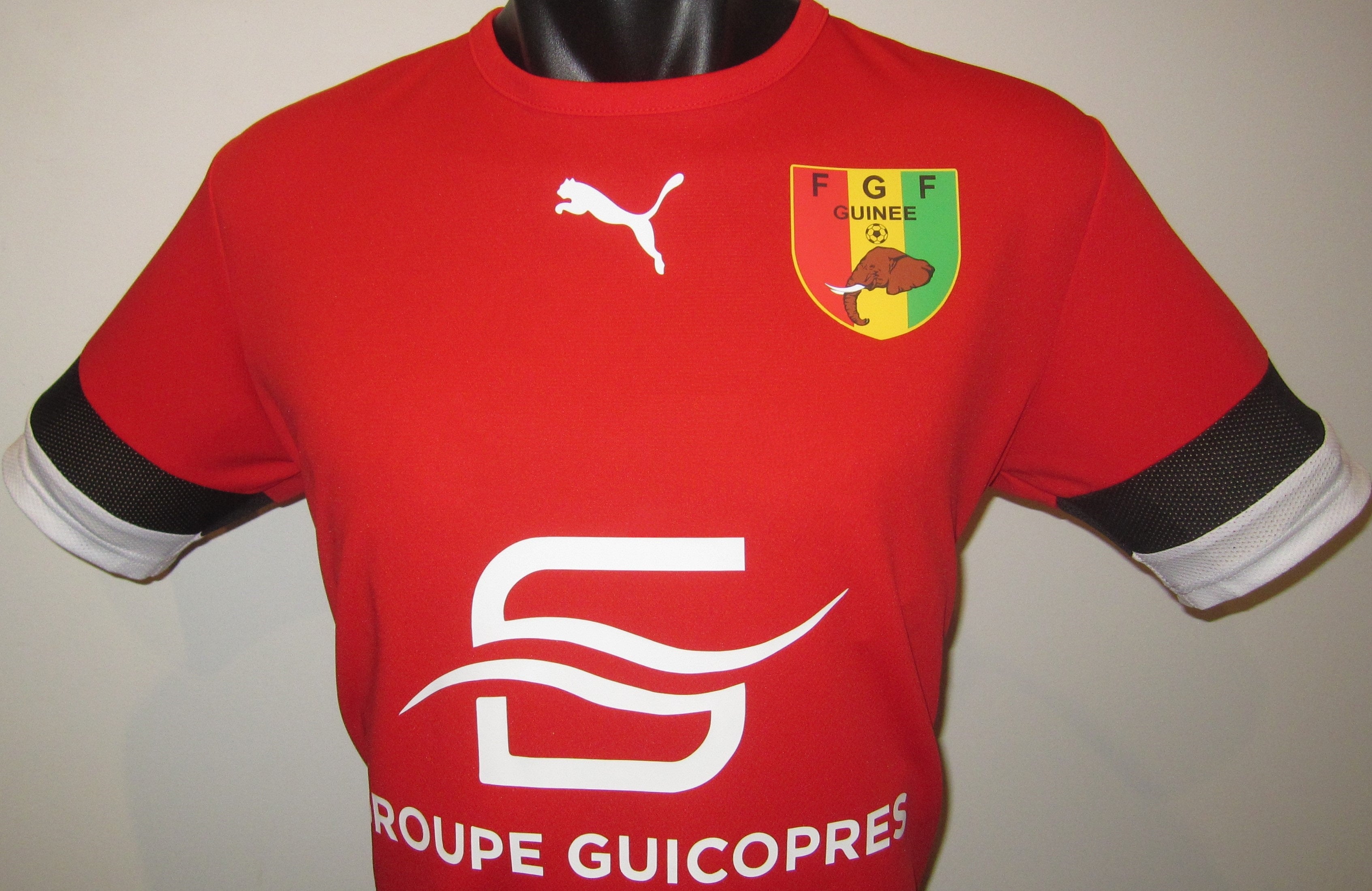 Guinea 2022 Training Jersey/Shirt