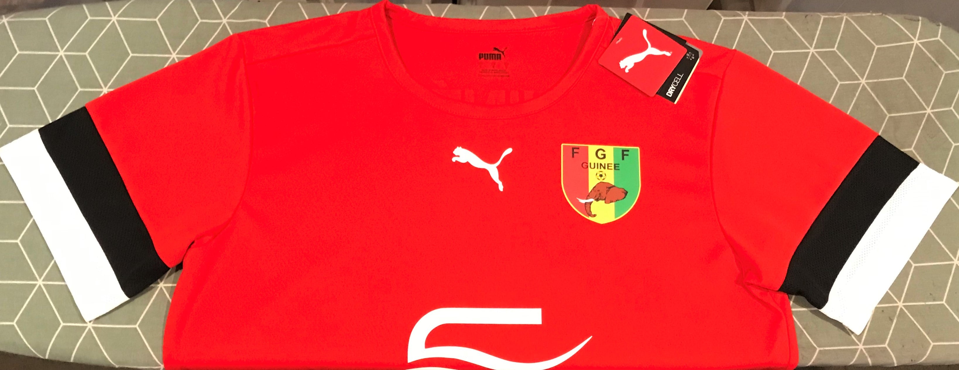 Guinea 2022 Training Jersey/Shirt