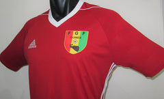 Guinea 2015-16 Home Jersey/Shirt