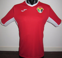 Jordan 2019 Away Jersey/Shirt