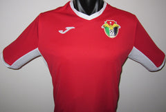 Jordan 2019 Away Jersey/Shirt