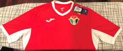 Jordan 2019 Away Jersey/Shirt