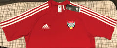United Arab Emirates 2015 Away Jersey/Shirt